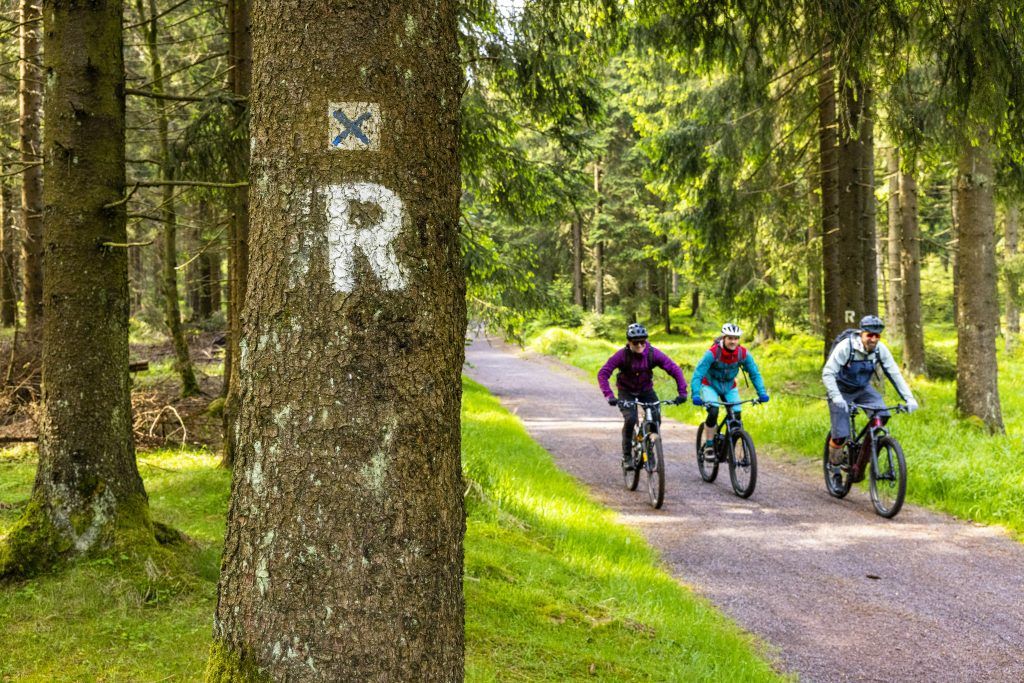 Thüringer Wald Fahrrad