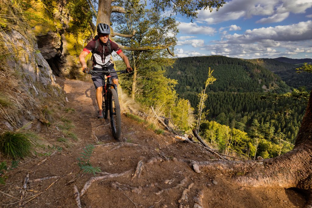 Thüringer Wald Fahrrad