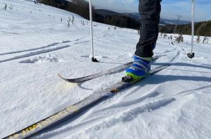 Ski alpin
